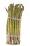 Bundle of fresh asparagus