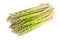 Bundle of fresh cut raw, uncooked green asparagus vegetable