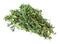 Bundle of fresh hyssop hyssopus herb isolated