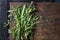 Bundle of fresh Italian herbs