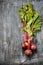 Bundle of fresh organic farmer young beetroots on dark scratched background, top view