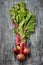 Bundle of fresh organic farmer young beetroots with haulm on dark scratched background, top view