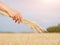 Bundle of golden wheat in women `s hand amid sky and wheat field