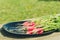 bundle healthy radish in a garden/radish in a black bowl on a wooden white background, selective focus