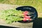 bundle healthy radish/ radish in a black bowl on a white bench in a garden, top view