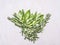 Bundle of herbs, basil and rosemary on wooden rustic background top view close up