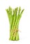 Bundle of large Asparagus