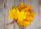 Bundle of maple leaves on wood