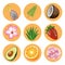 bundle of nine tropical fruits and plants set icons