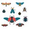 Bundle set with different insects. Illustration in vector of abstract bright beetles, flies, dragonflies, wasps, moths