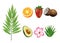 bundle of seven tropical fruits and plants set icons