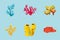 bundle of six coral sea life nature icons