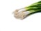 Bundle of spring onions isolated on white