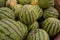 Bundle of Watermelons Closeup View Inside of a Grocery Store.