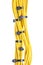 Bundle of yellow cables with black cable ties