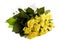 Bundle yellow roses