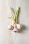 Bundle of young garden garlic