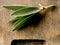 Bundled fresh harvested organic sage leaves on wooden cutting bo