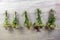 Bundles of flavoured herbs drying on the open air. Nature background