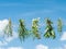 Bundles of flavoured herbs drying on the open air. Sky background.