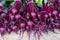 Bundles of fresh ripe beetroot