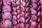 Bundles of red onions hanging in the market