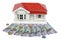Bungalow villa house model with New Zealand NZ Dollar currency -