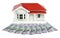 Bungalow villa house model with New Zealand NZ Dollars - front v