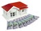 Bungalow villa house model with New Zealand NZ Dollars - side vi