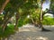 Bungalows on beach and sand pathway