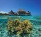 Bungalows overwater with corals underwater Pacific
