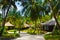 Bungalows and pathway, flowers and trees