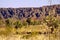 Bungle Bungles (Purnululu) - Purnululu National Park