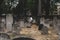 Bunhill Fields, former burial ground in central London