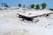 Bunker on a battlefield in the Ardennes