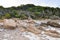 Bunker Bay: Dune Plants and Granite Formations