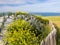 bunker on Cap Gris-Nez on English channel