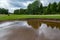 Bunker full of water on a golf course