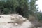 Bunker Ruins, Hamasrek Natural Reserve, Israel