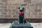 Bunkou dog statue near Otaru canal.