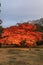 Bunkyo City,Tokyo,Japan on December6,2019:Beautiful Japanese Red Maple tree  at Rikugien Garden in autumn