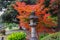Bunkyo City,Tokyo,Japan on December6,2019:Stone lantern with autumn colors at Rikugien Garden