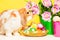 Bunny close to pink flowers on white table