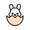 Bunny in eggshell vector, Easter filled icon editable stroke