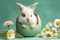 A bunny inside an Easter egg surrounded by daisies on a soft green background.