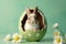 A bunny inside an Easter egg surrounded by daisies on a soft green background.