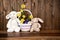 Bunny and Lamb with Easter Basket - Rustic