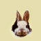 Bunny peeking out of a hole in wall, fluffy eared bunny easter bunny banner, rabbit jump out torn hole, Generative AI