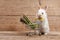 Bunny rabbit with asparagus shopping basket