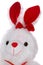 Bunny rabbit cuddly toy